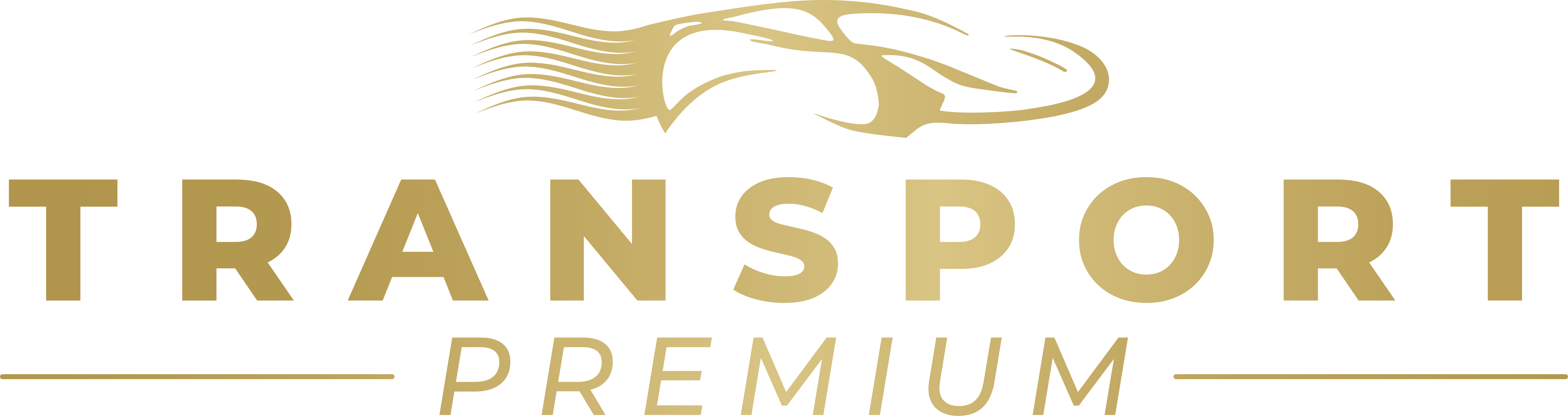 Transportes Premium